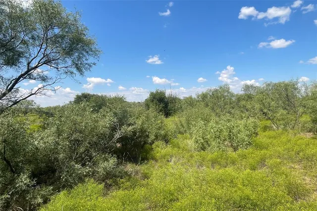 a view of a big yard with lots of bushes