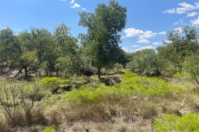 a view of a lush green forest with lots of trees
