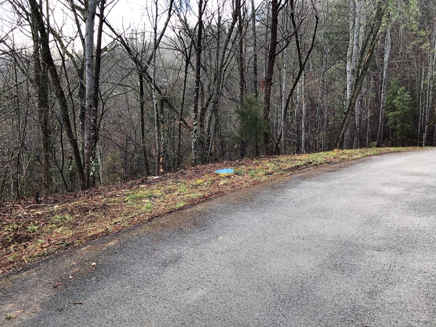 0 Bear Den Road Townsend, TN 37882 - Photo 13 of 16 a view of a yard with trees