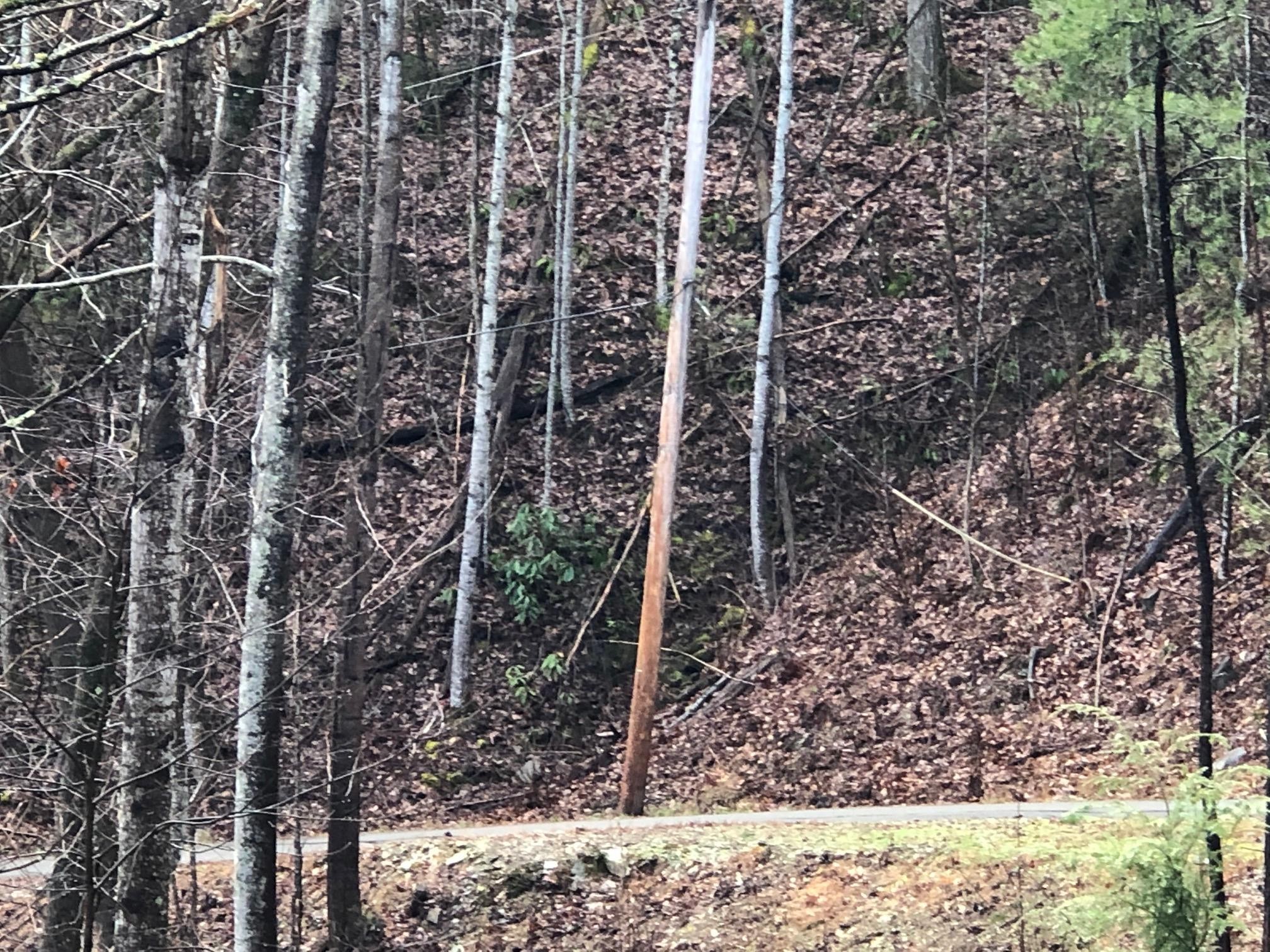 0 Bear Den Road Townsend, TN 37882 - Photo 14 of 16 a view of a forest