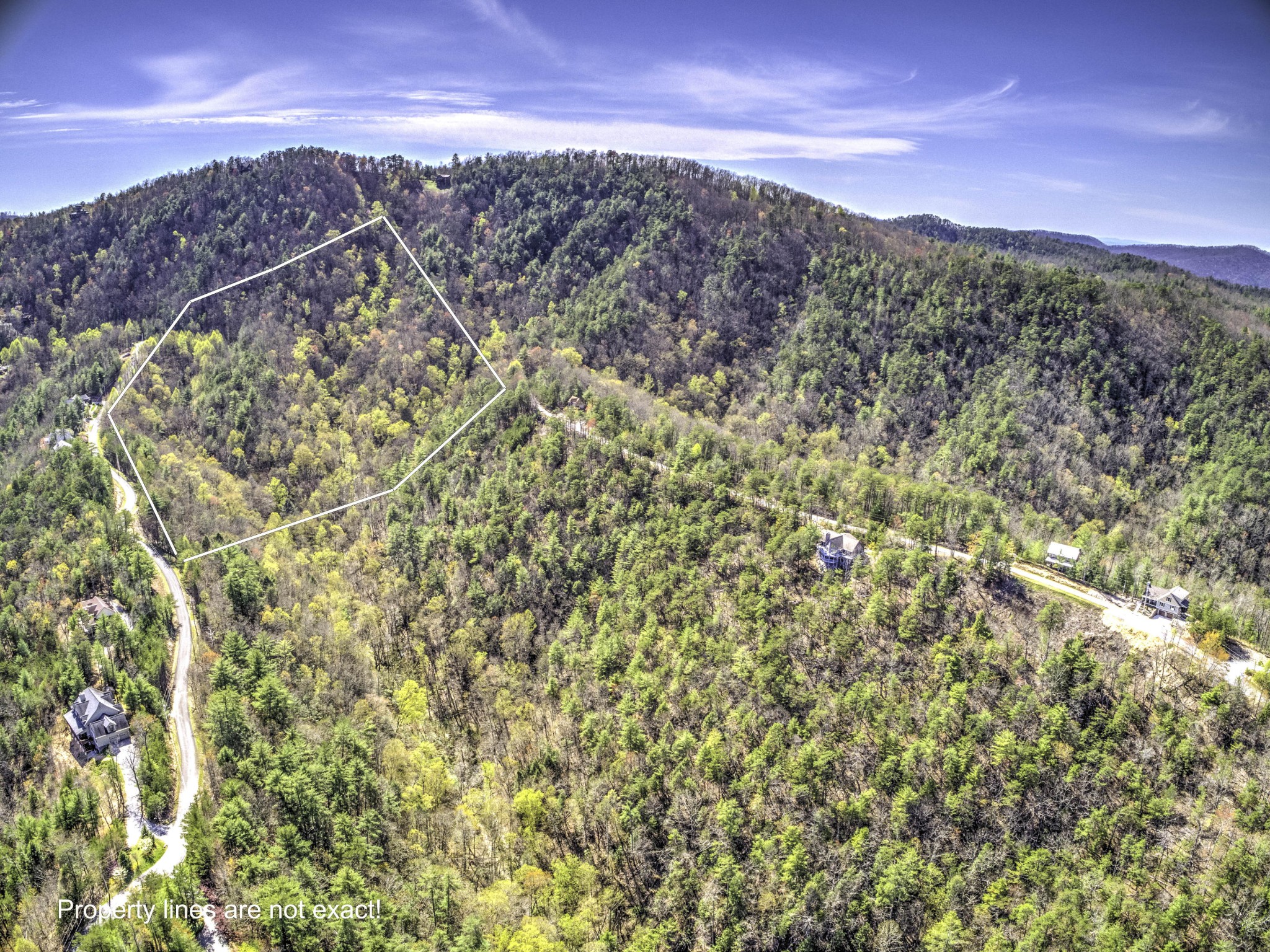 0 Bear Den Road Townsend, TN 37882 - Photo 3 of 16 a view of a mountain