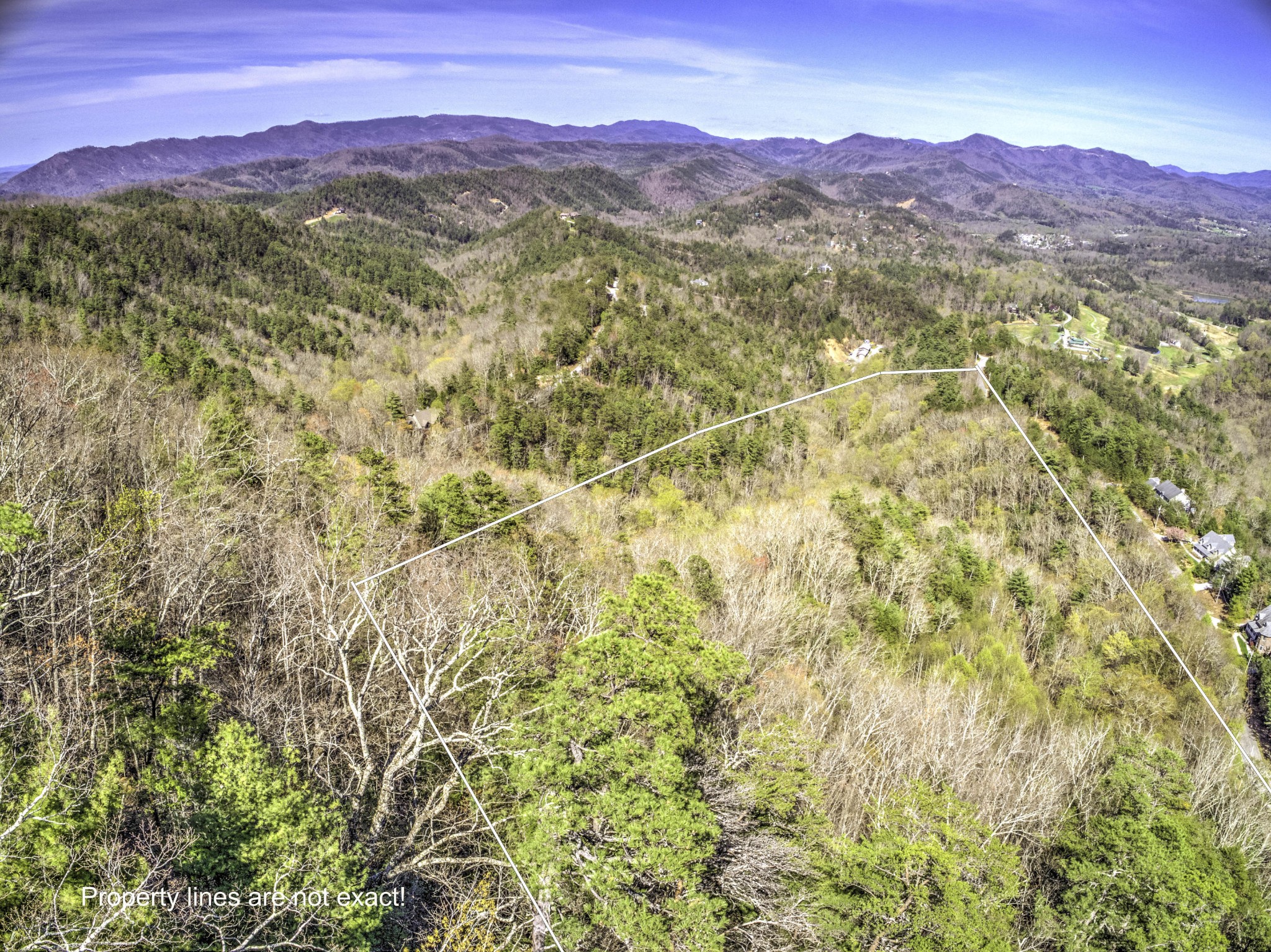 0 Bear Den Road Townsend, TN 37882 - Photo 4 of 16 a view of a lush green hillside and a houses
