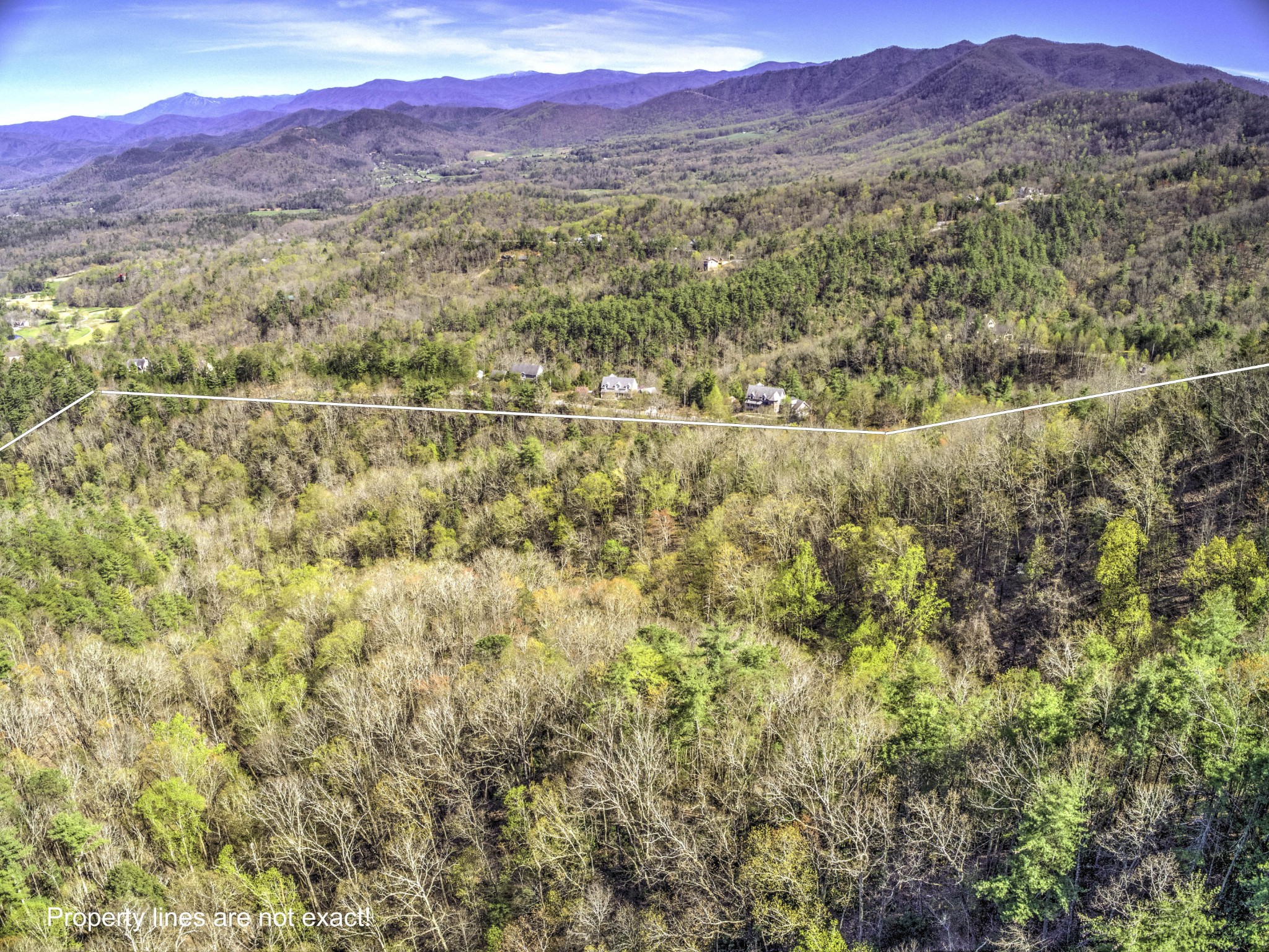 0 Bear Den Road Townsend, TN 37882 - Photo 6 of 16 a view of a lush green hillside and a houses