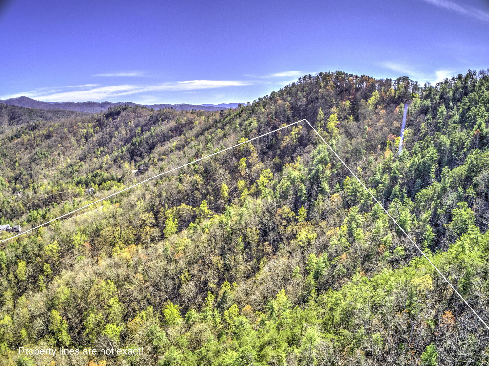 0 Bear Den Road Townsend, TN 37882 - Photo 7 of 16 a view of a city