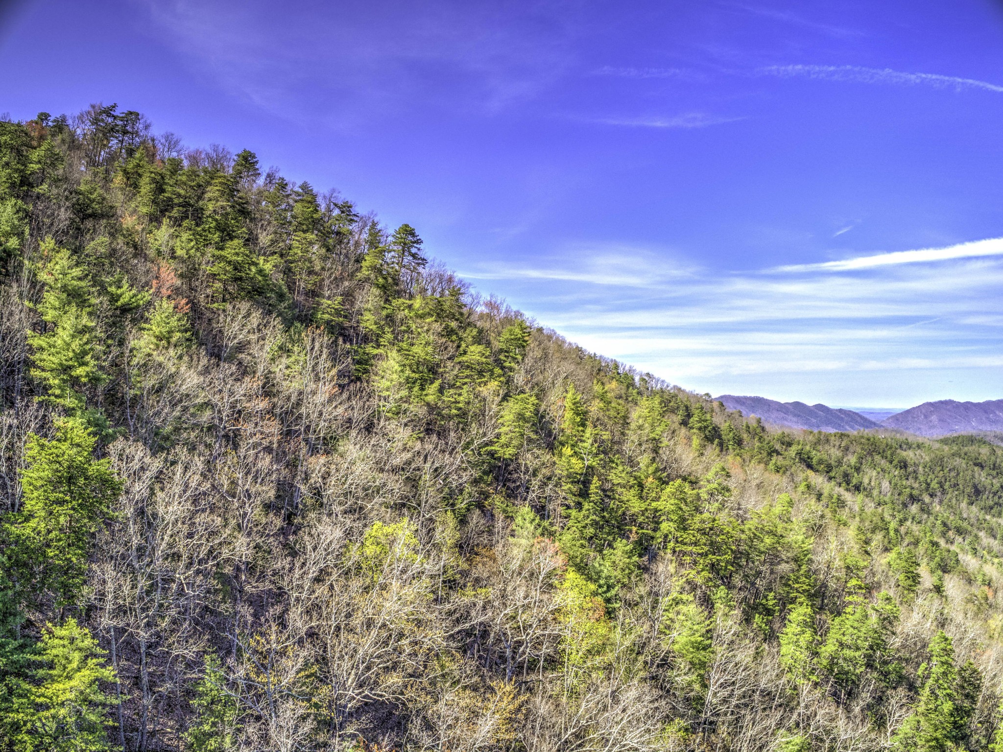 0 Bear Den Road Townsend, TN 37882 - Photo 8 of 16 a view of a lush green space with sea