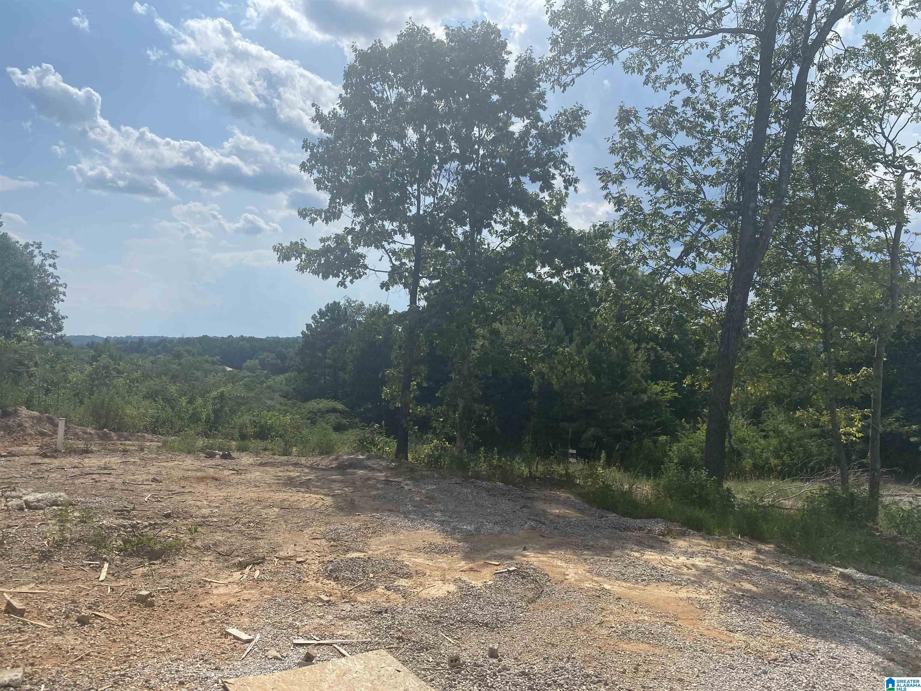 3652 Vanderbilt Way Fultondale, AL 35068 - Photo 3 of 8