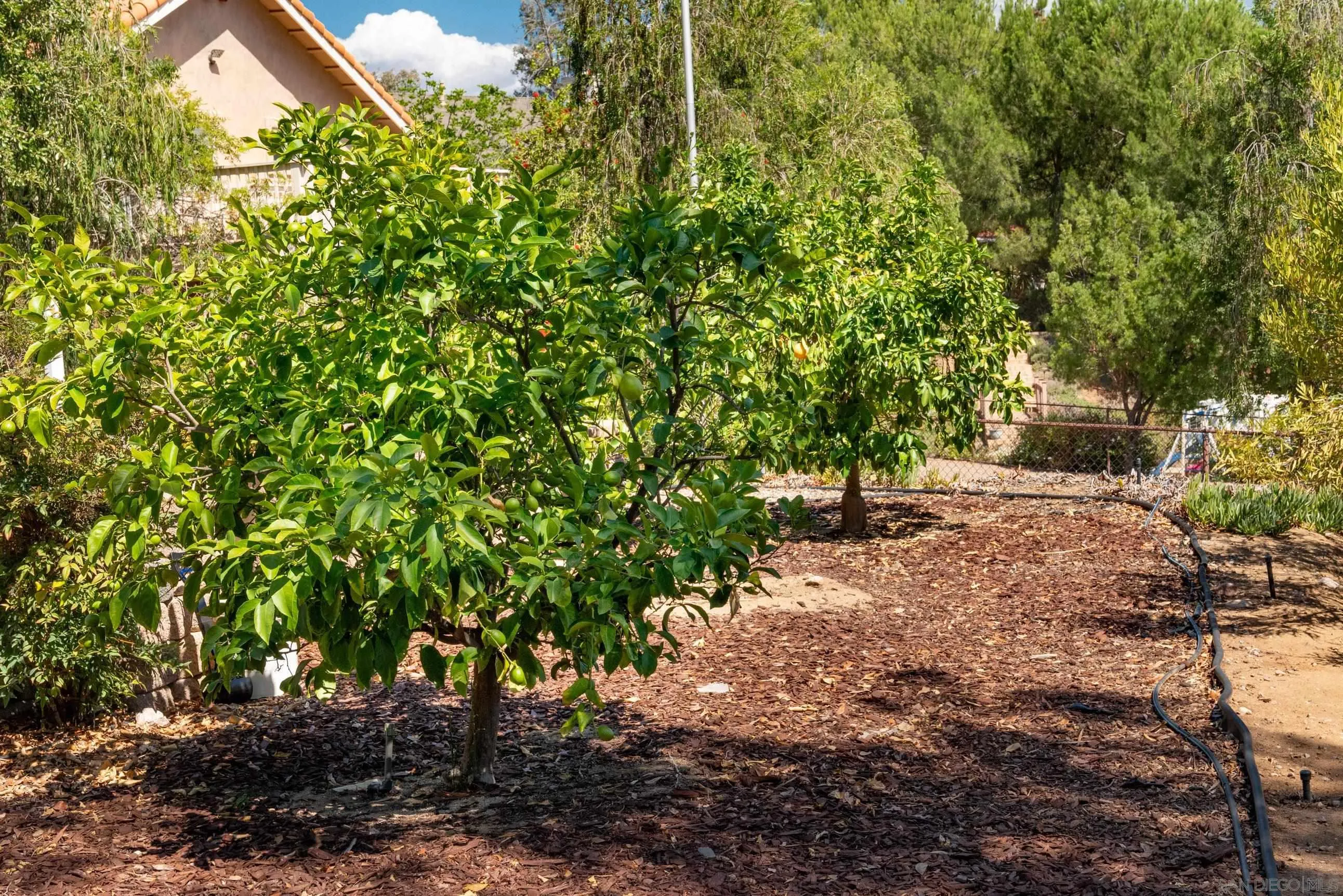 24517 Rutherford Road Ramona, CA 92065 - Photo 40 of 50 a backyard of a house with lots of green space