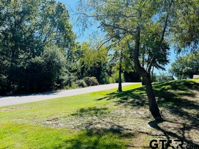 a view of an outdoor space and a yard