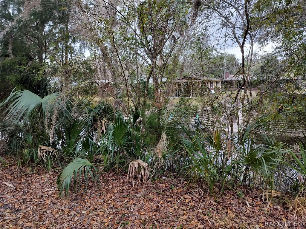 552 South Tuck Point Inverness, FL 34450 - Photo 8 of 20 Gallery Image 8