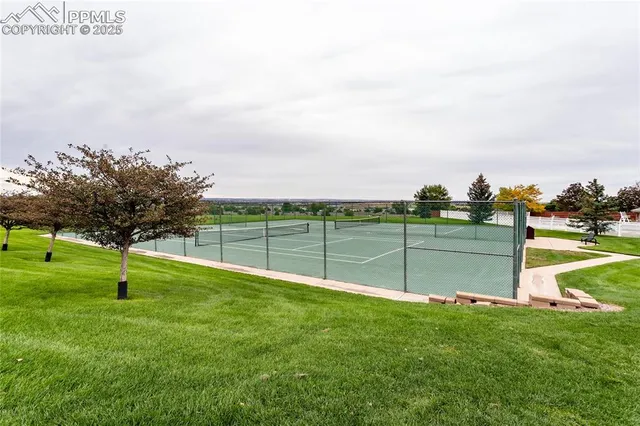 a view of a backyard with swimming pool