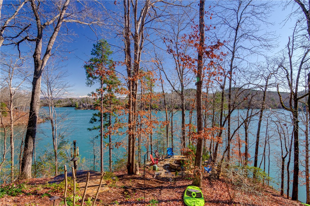 918 Rippling Water Way Salem, SC 29676 - Photo 8 of 39 Gallery Image 8