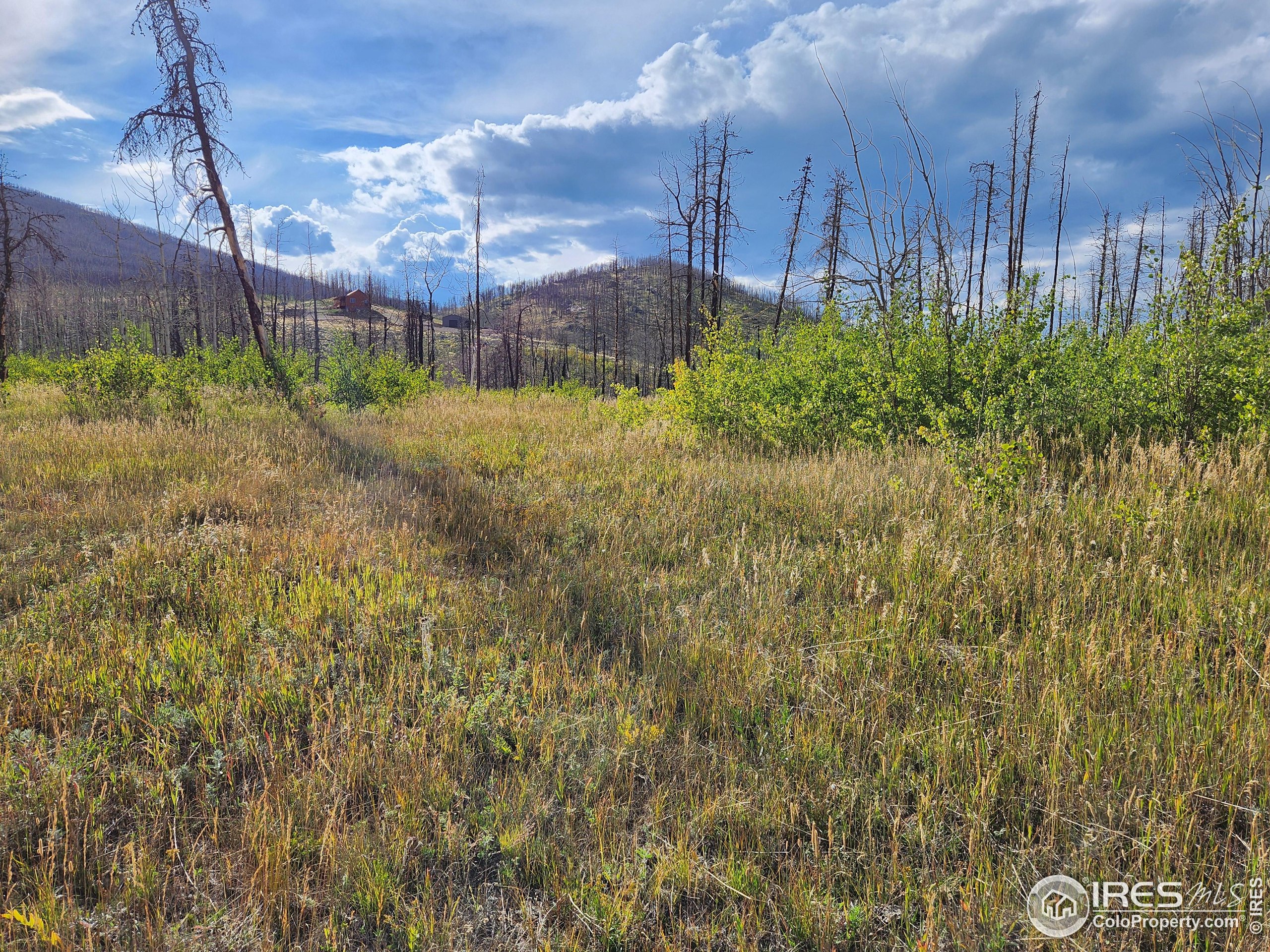0 Crystal Mountain Road Bellvue, CO 80512 - Photo 11 of 19 a view of a back yard