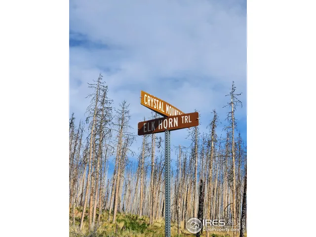 a close up of a shower curtain