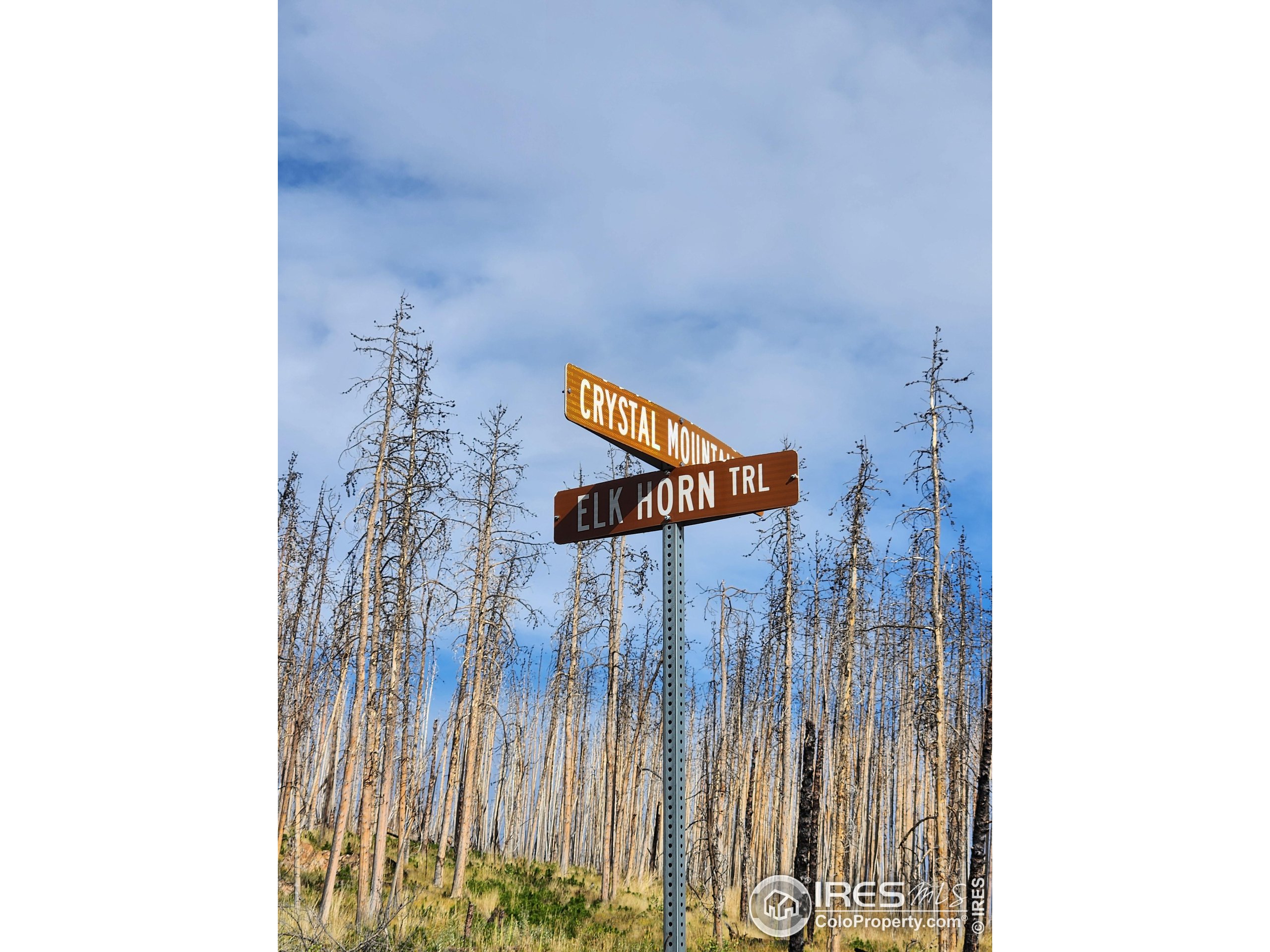 0 Crystal Mountain Road Bellvue, CO 80512 - Photo 15 of 19 a view of a entryway
