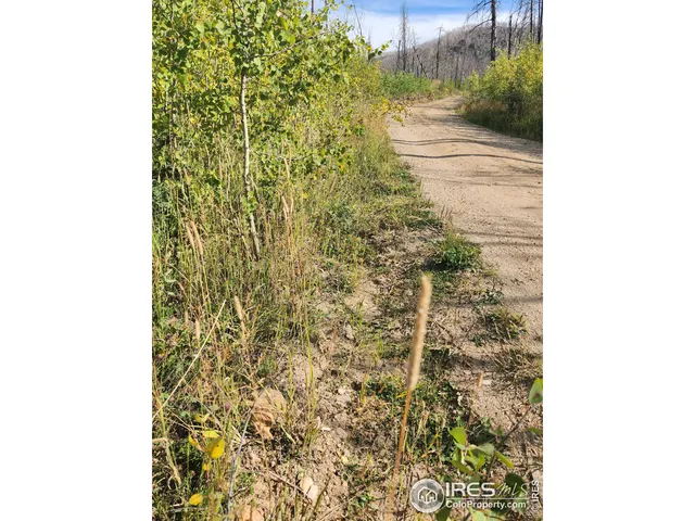 a view of outdoor space with garden
