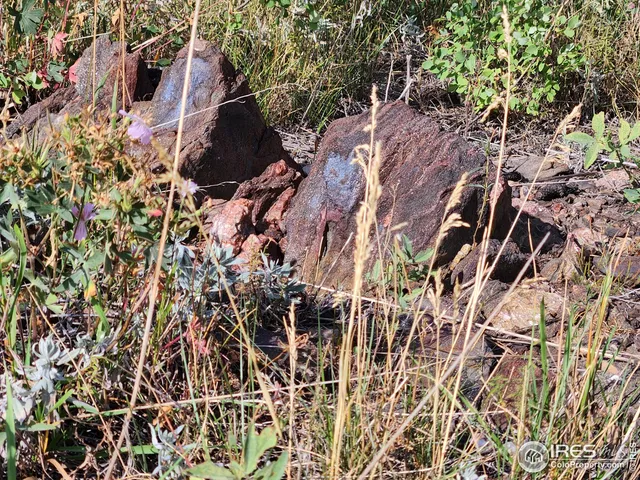 $115,000 | 0 Crystal Mountain Road, Bellvue, CO 80512