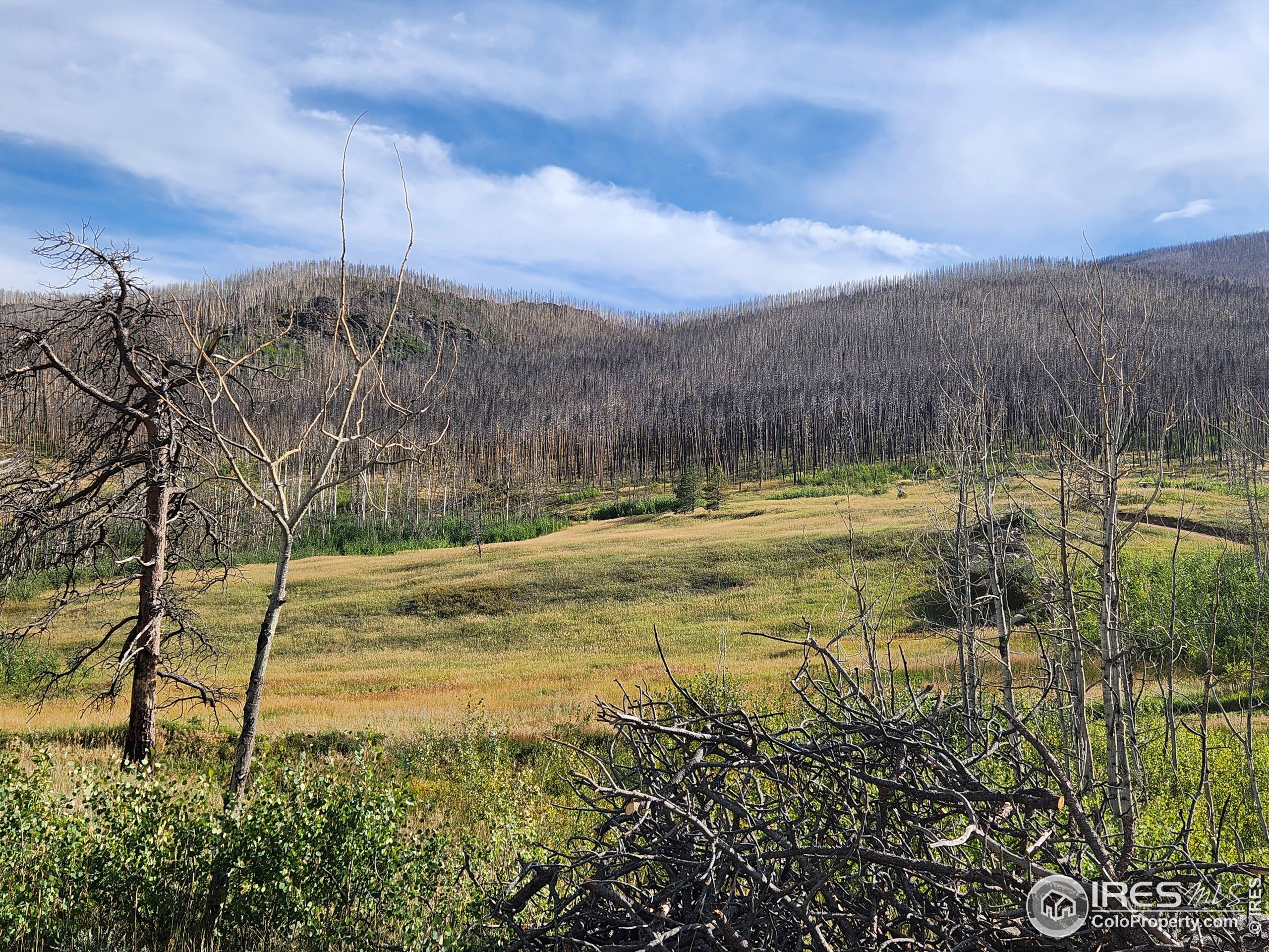0 Crystal Mountain Road Bellvue, CO 80512 - Photo 8 of 19 a view of a lake with a yard