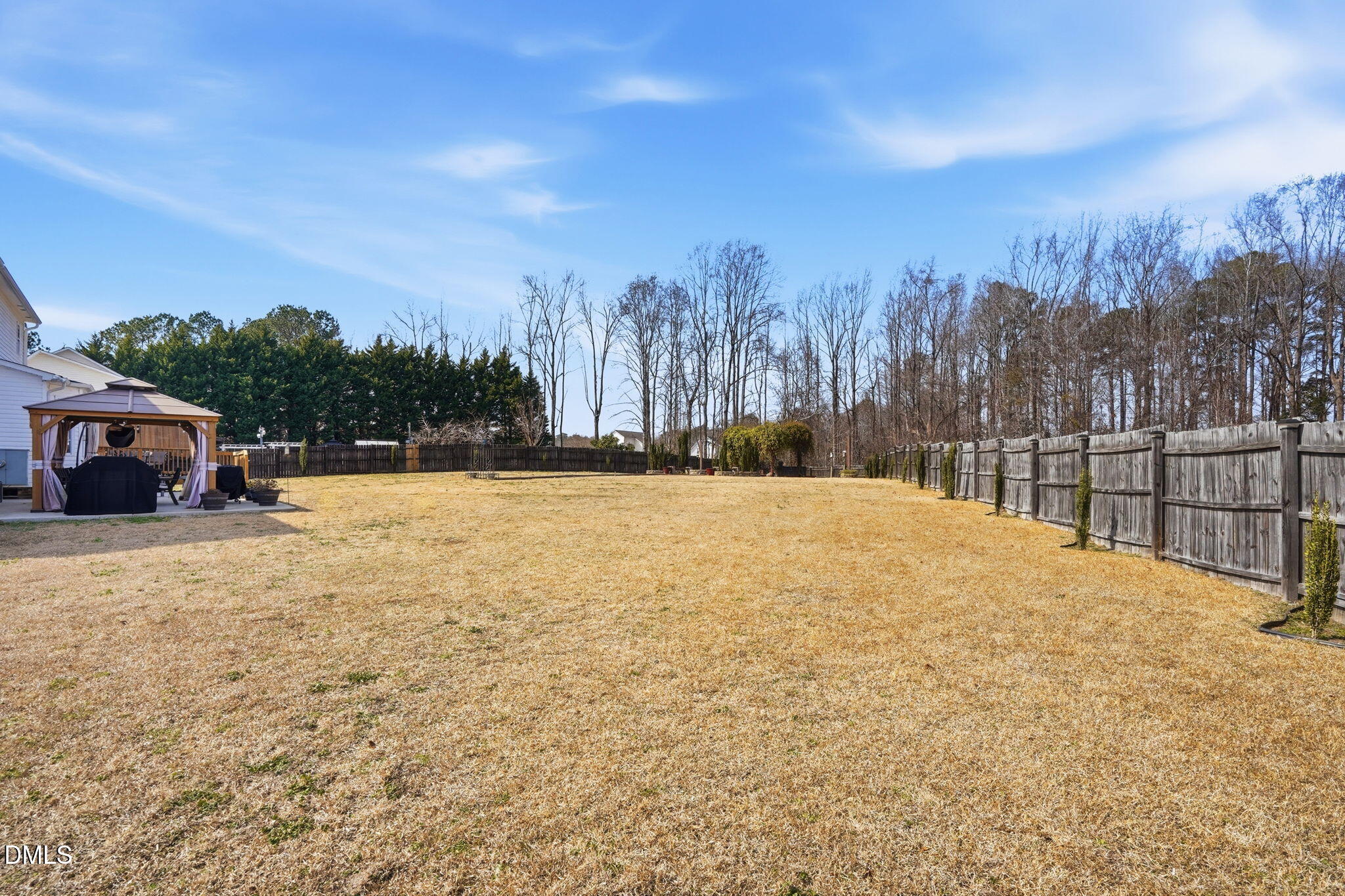 322 Saddle Ridge Drive Willow Spring, NC 27592 - Photo 23 of 25 Back yard