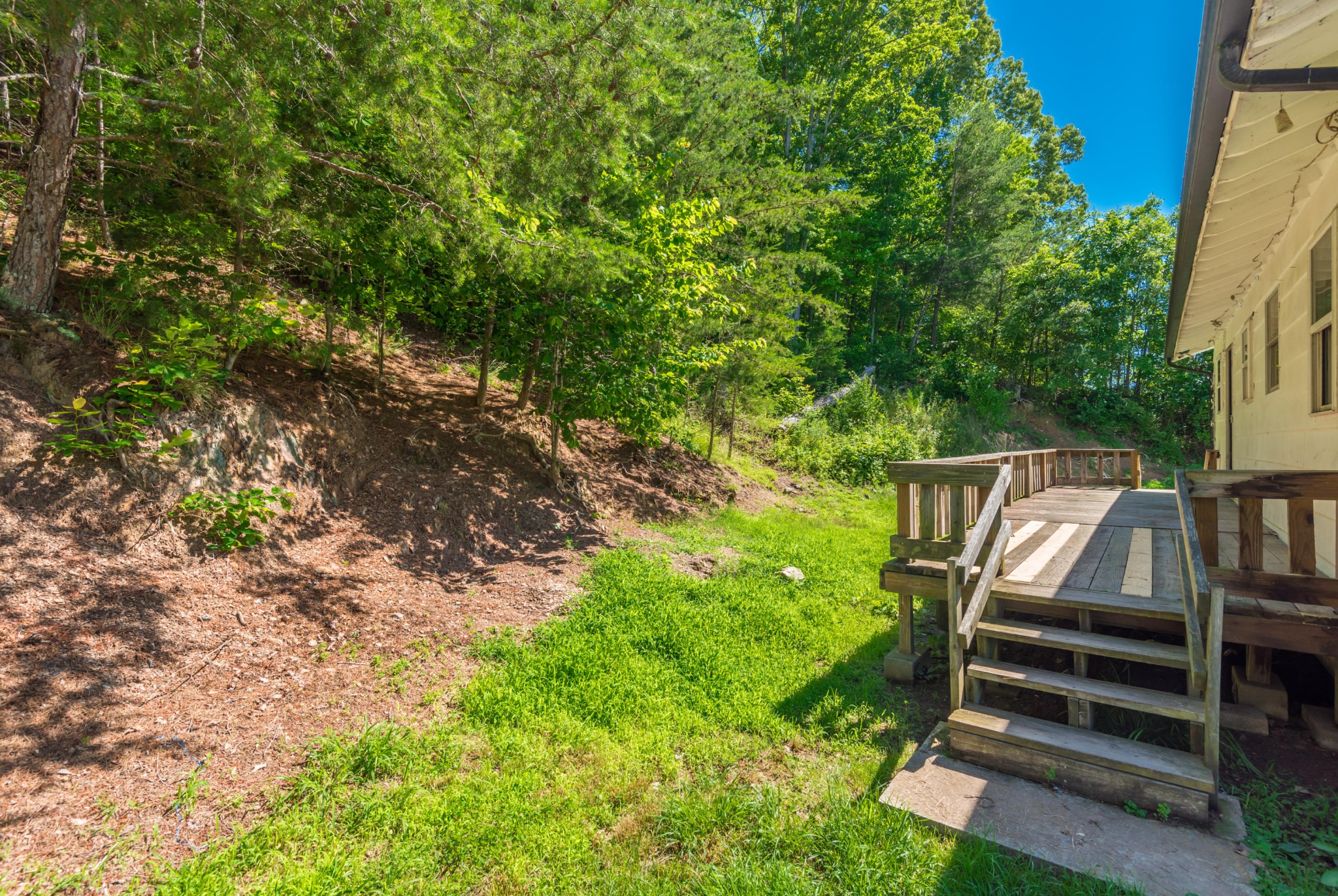 119 Tater Valley Road Luttrell, TN 37779 - Photo 27 of 27