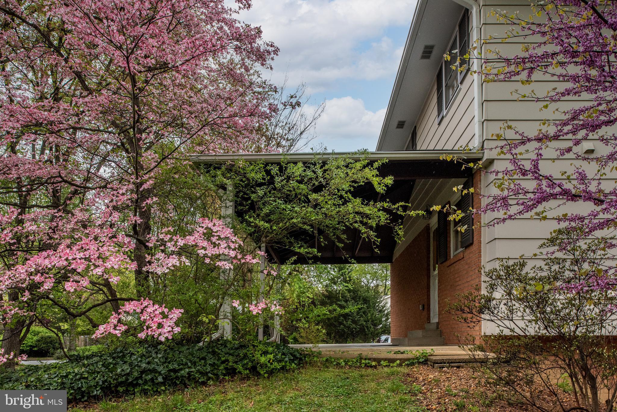 8622 Gateshead Road Alexandria, VA 22309 - Photo 14 of 55 Gallery Image 14