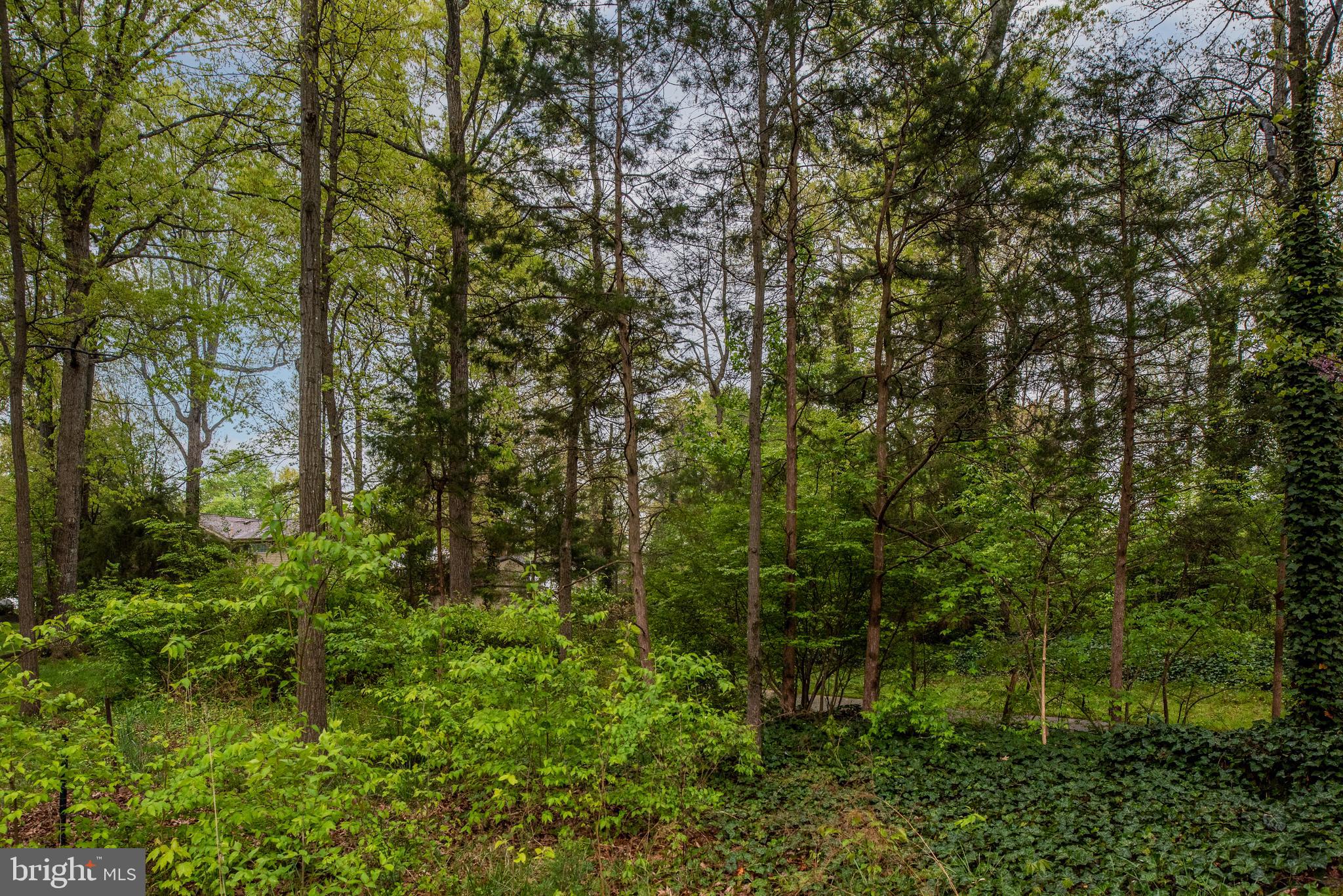 8622 Gateshead Road Alexandria, VA 22309 - Photo 5 of 55 Gallery Image 5