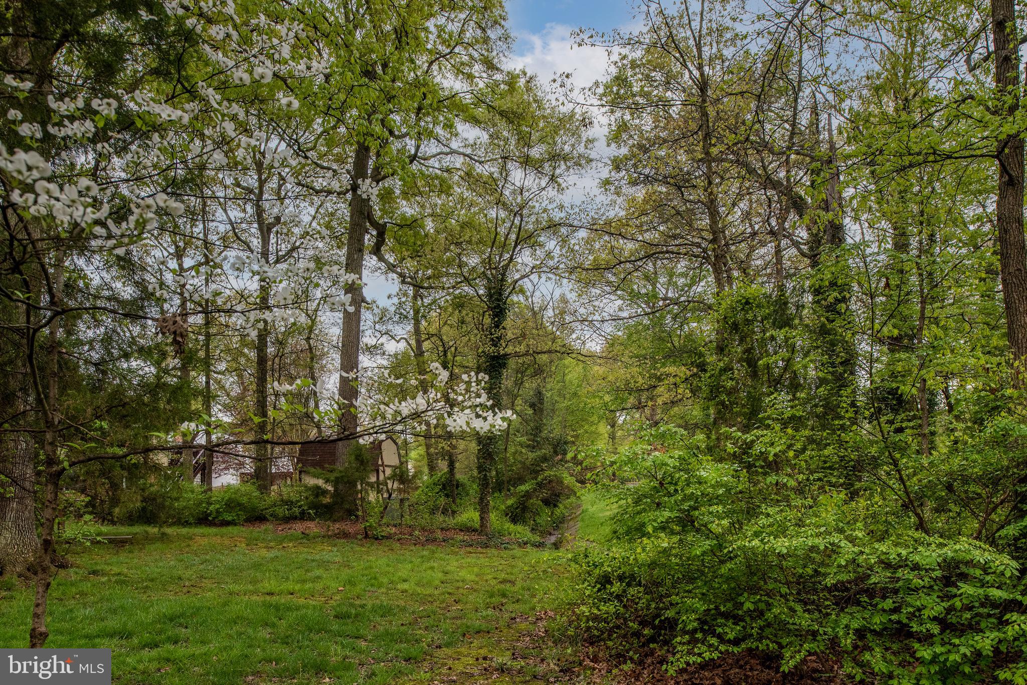 8622 Gateshead Road Alexandria, VA 22309 - Photo 7 of 55 Gallery Image 7