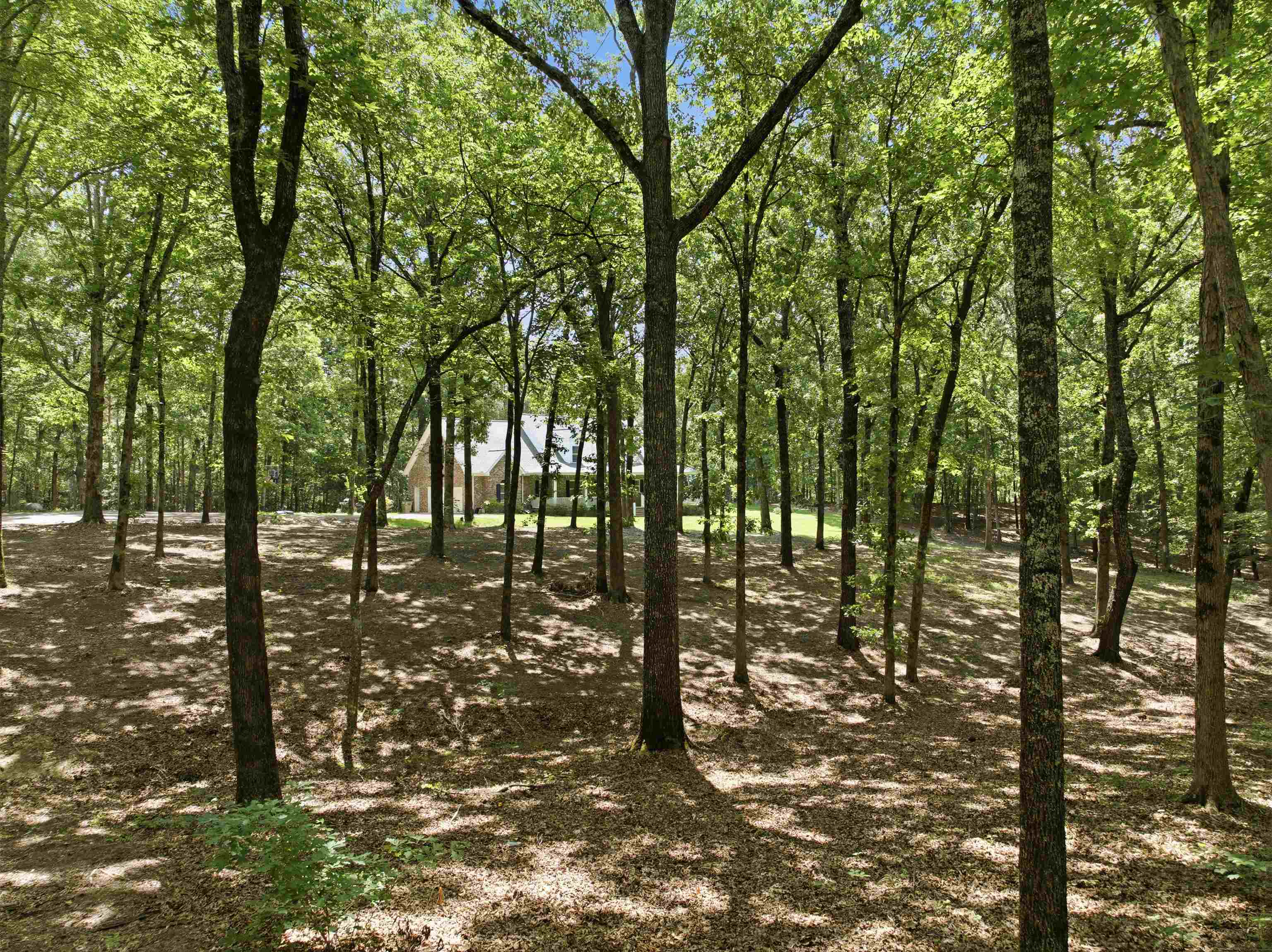 3295 Rehoboth Road Somerville, TN 38068 - Photo 32 of 33