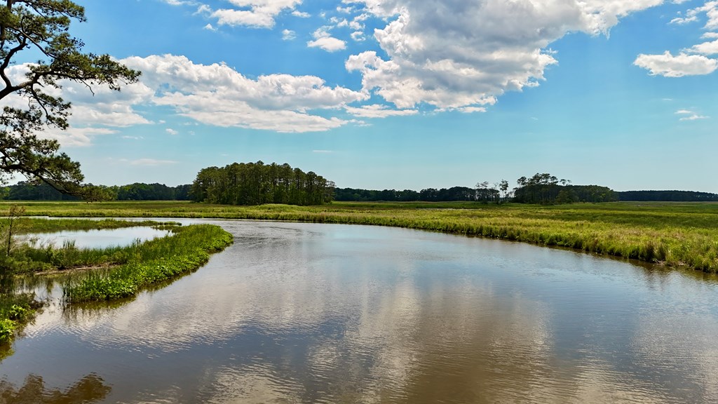 Lot 2 Miles Road, Unit 2A New Church, VA 23415 - Photo 3 of 9