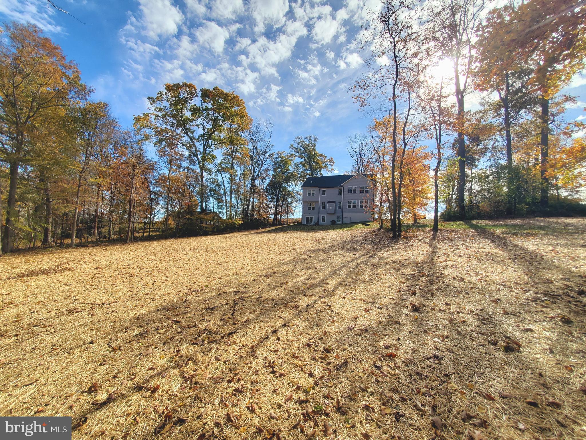 520 Walters Mill Road Forest Hill, MD 21050 - Photo 71 of 71 a view of a yard with trees