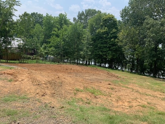 0 Cedar Point Road Bumpus Mills, TN 37028 - Photo 3 of 6 Gallery Image 3