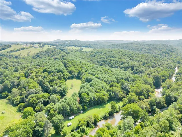 an aerial view of houses covered in trees