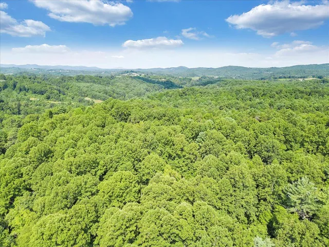a view of a lush green forest with a houses