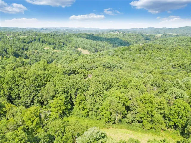 a view of a green field with lots of bushes
