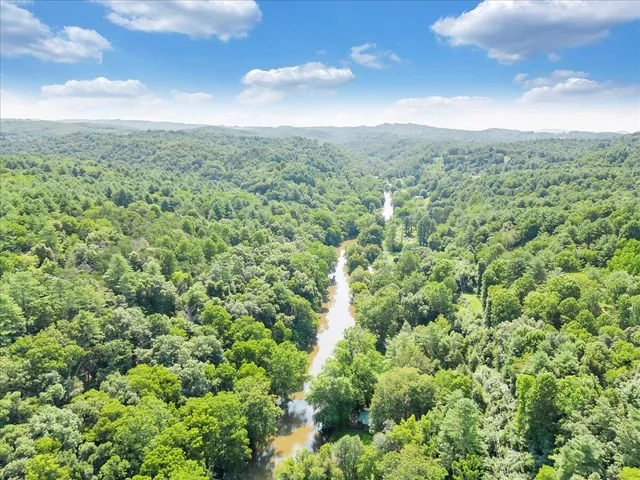 a view of a city with lush green forest