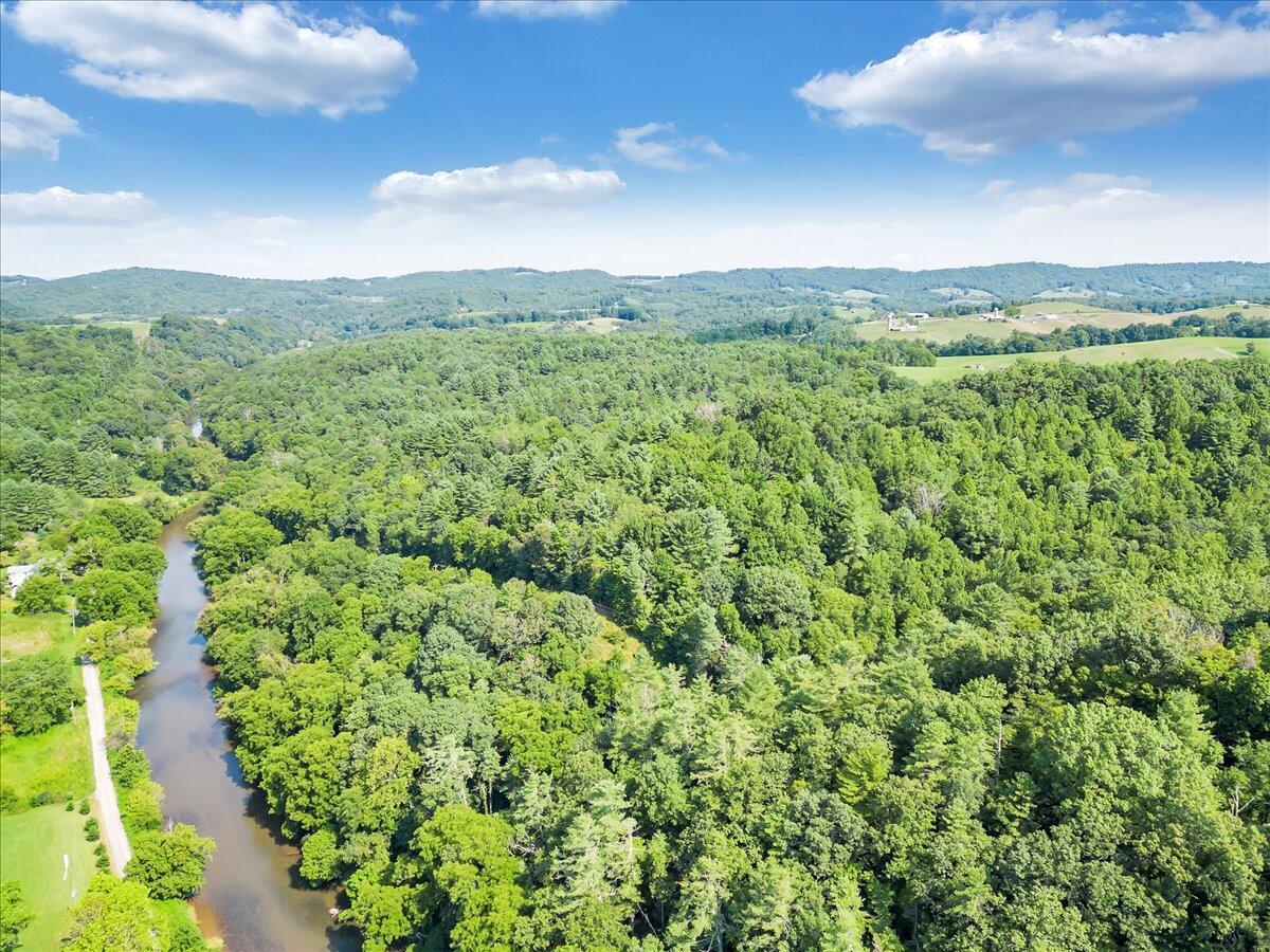 0 Sowers Mill Dam Drive Northeast Riner, VA 24149 - Photo 21 of 25 a view of a green field with lots of bushes