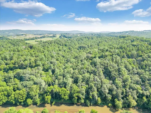 a view of a city with lush green forest