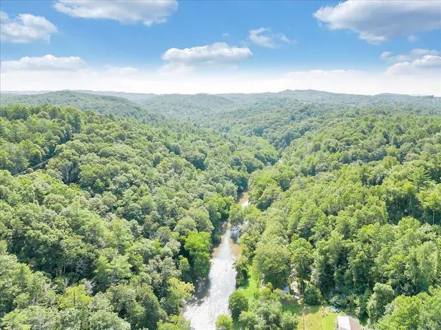 a view of a lake in middle of forest