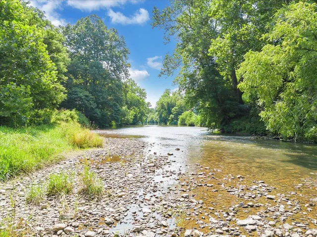 a view of yard with green space
