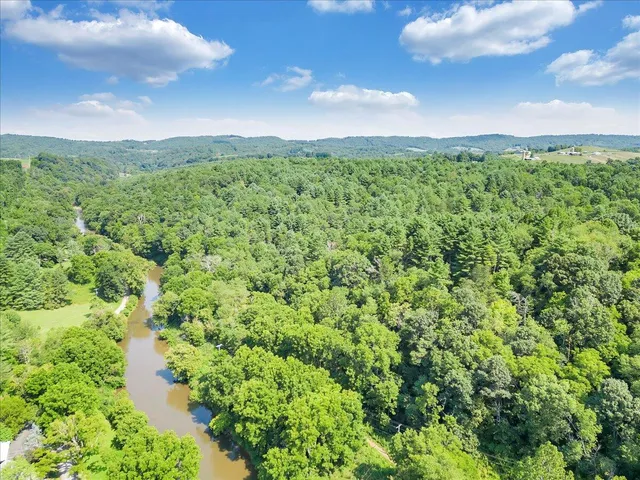 a view of a bunch of trees