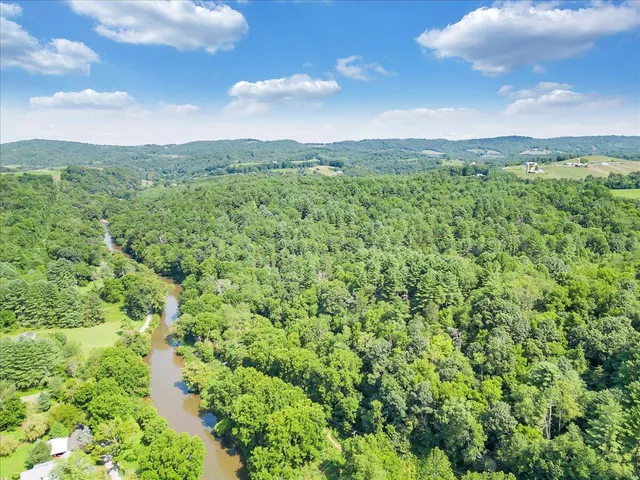 a view of a bunch of trees