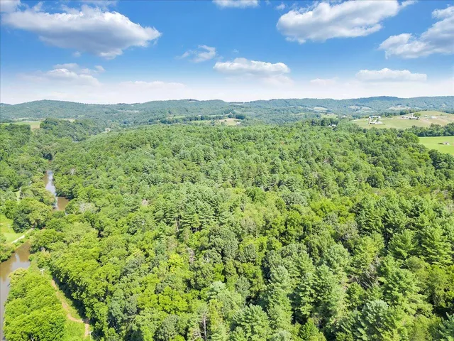 a view of a green field with lots of bushes