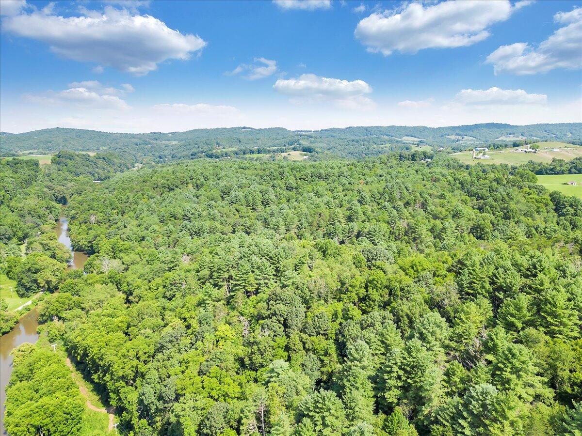 0 Sowers Mill Dam Drive Northeast Riner, VA 24149 - Photo 8 of 25 a view of a green field with lots of bushes