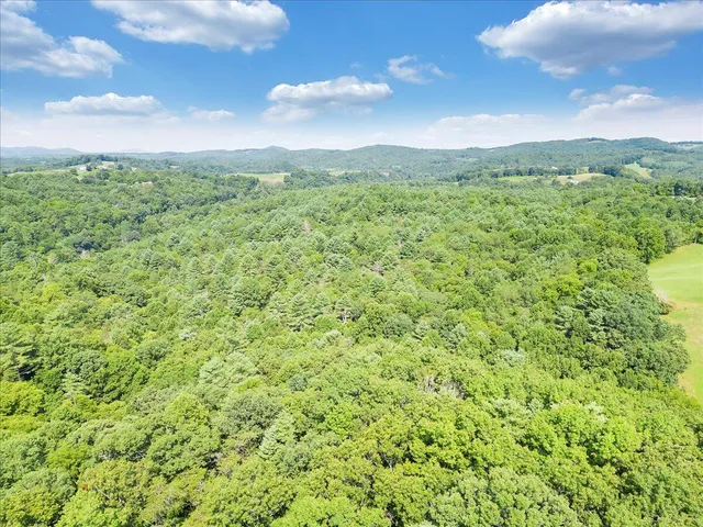 a view of a green field with lots of bushes