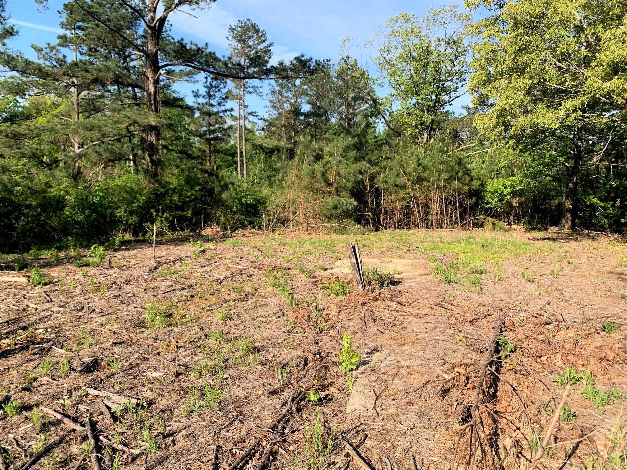 a view of a yard covered in snow