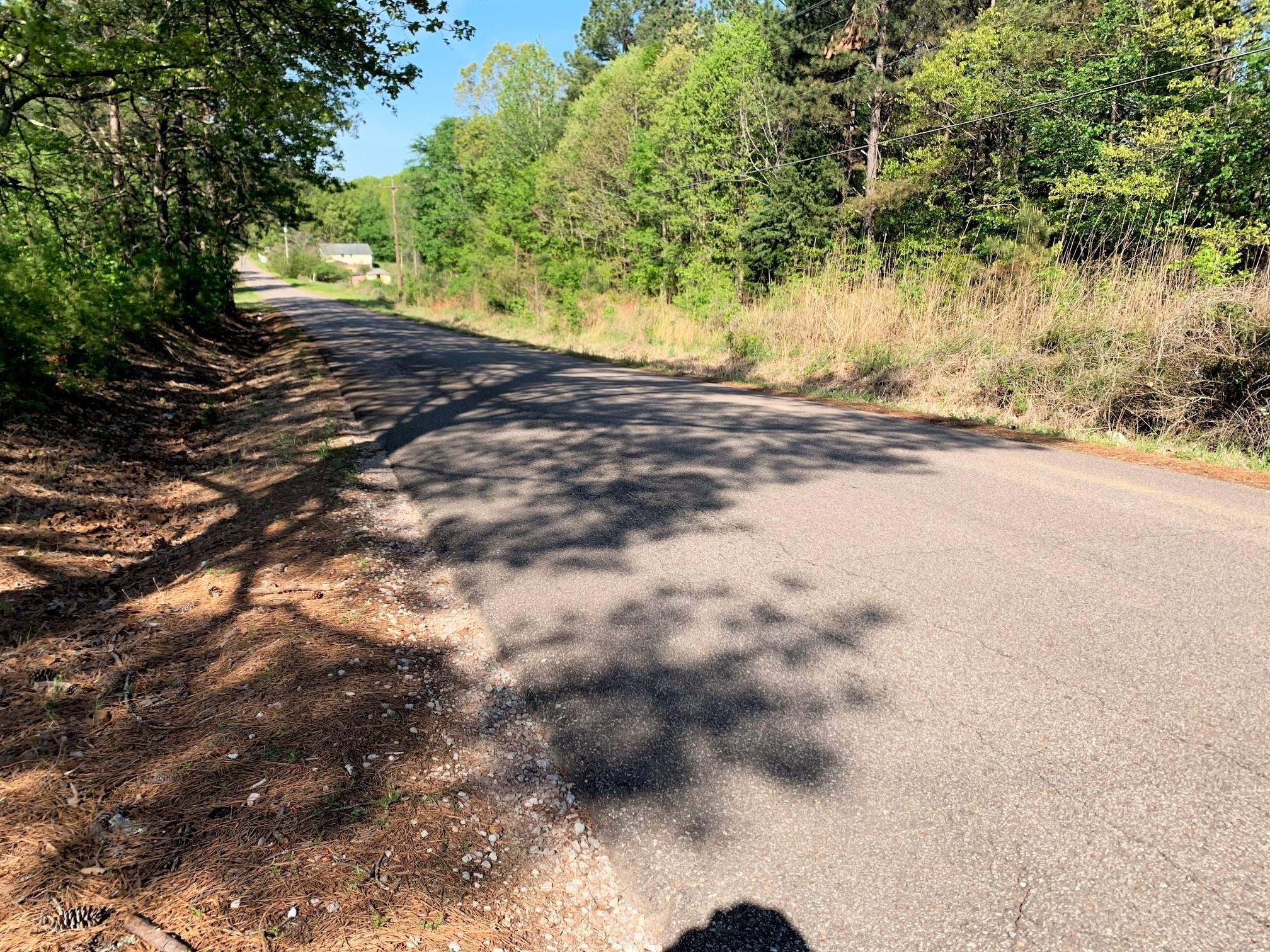 0 Kirkpatrick/purdy Road Selmer, TN 38375 - Photo 11 of 12 a view of a yard with trees