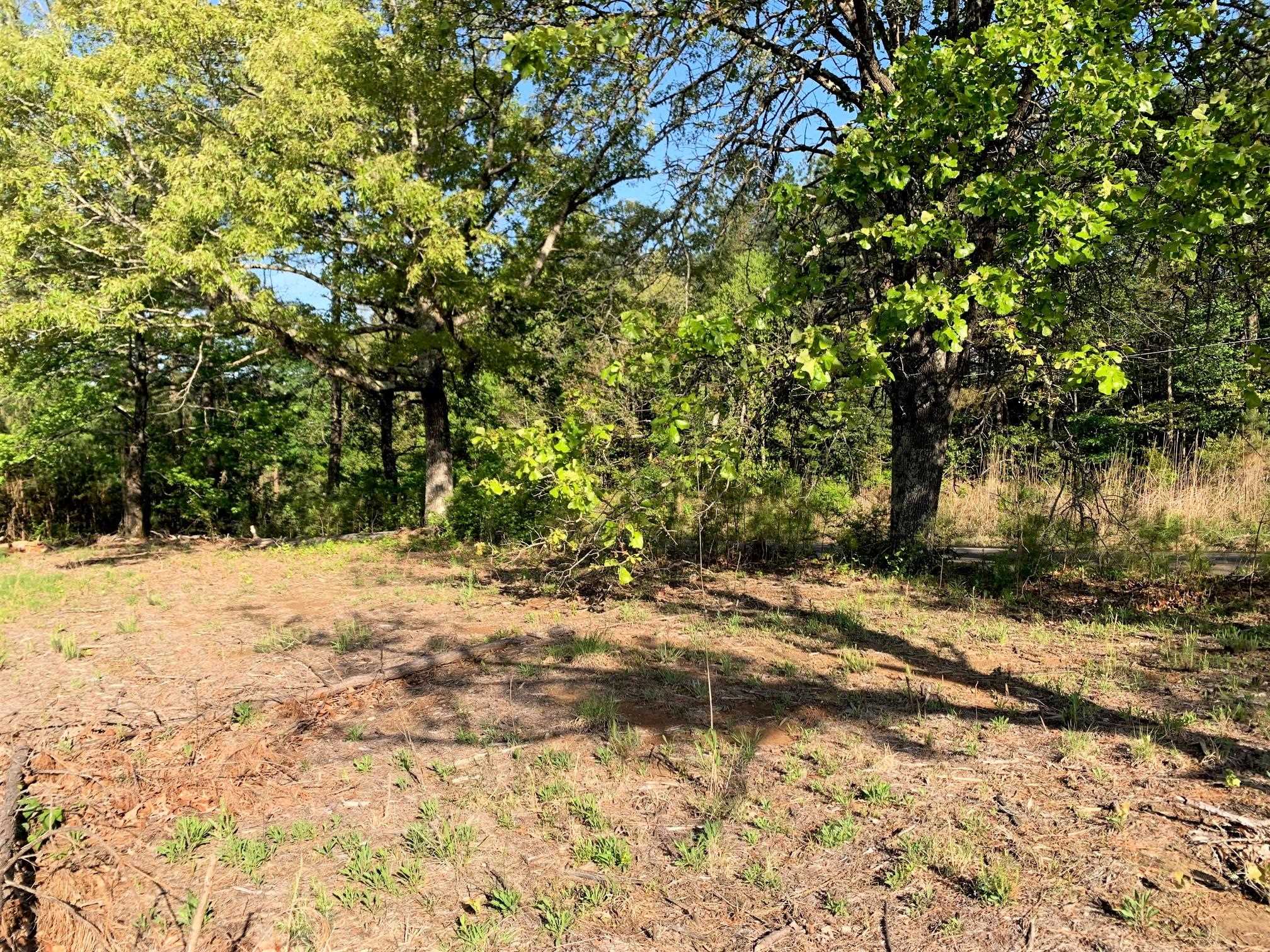 0 Kirkpatrick/purdy Road Selmer, TN 38375 - Photo 3 of 12 a view of a yard with trees