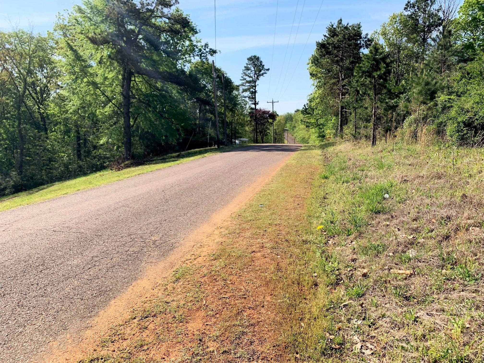 0 Kirkpatrick/purdy Road Selmer, TN 38375 - Photo 9 of 12 a view of a yard with a tree