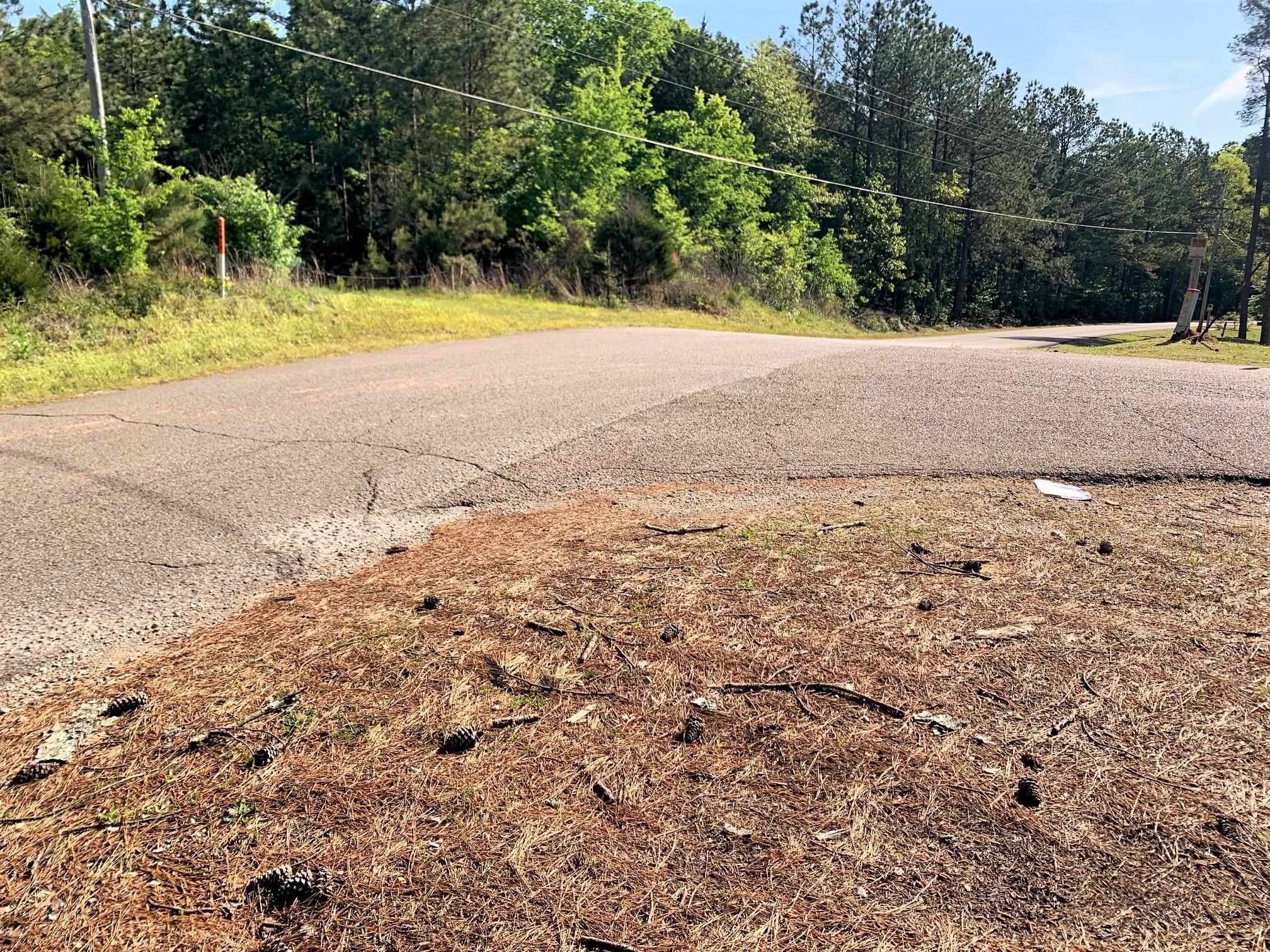 0 Kirkpatrick/purdy Road Selmer, TN 38375 - Photo 10 of 12 a view of a yard with a tree