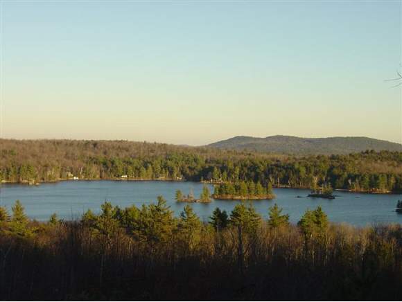 Old Forest Road Stoddard, NH 03464 - Photo 1 of 1 Gallery Image 1