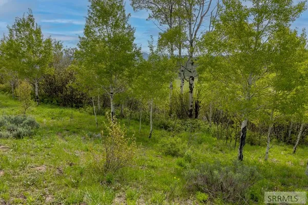 $375,000 | 0 Grouse Creek Loop, Wayan, ID 83285
